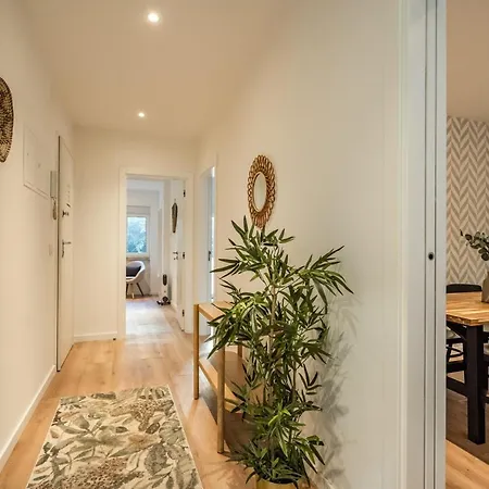 Akicity Anjos Moss リスボン