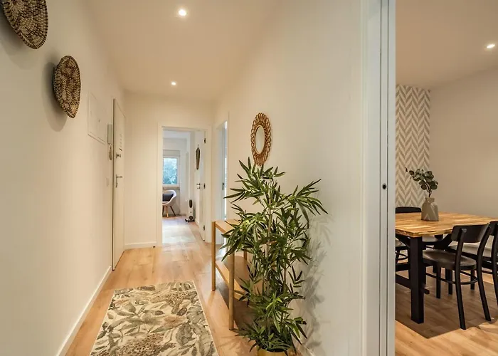 Akicity Anjos Moss Lisboa